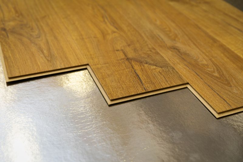 Laminate Floor Replacement in Apollo Beach, FL